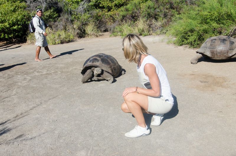 Experience the Magic of the Galapagos on a Celebrity Cruise